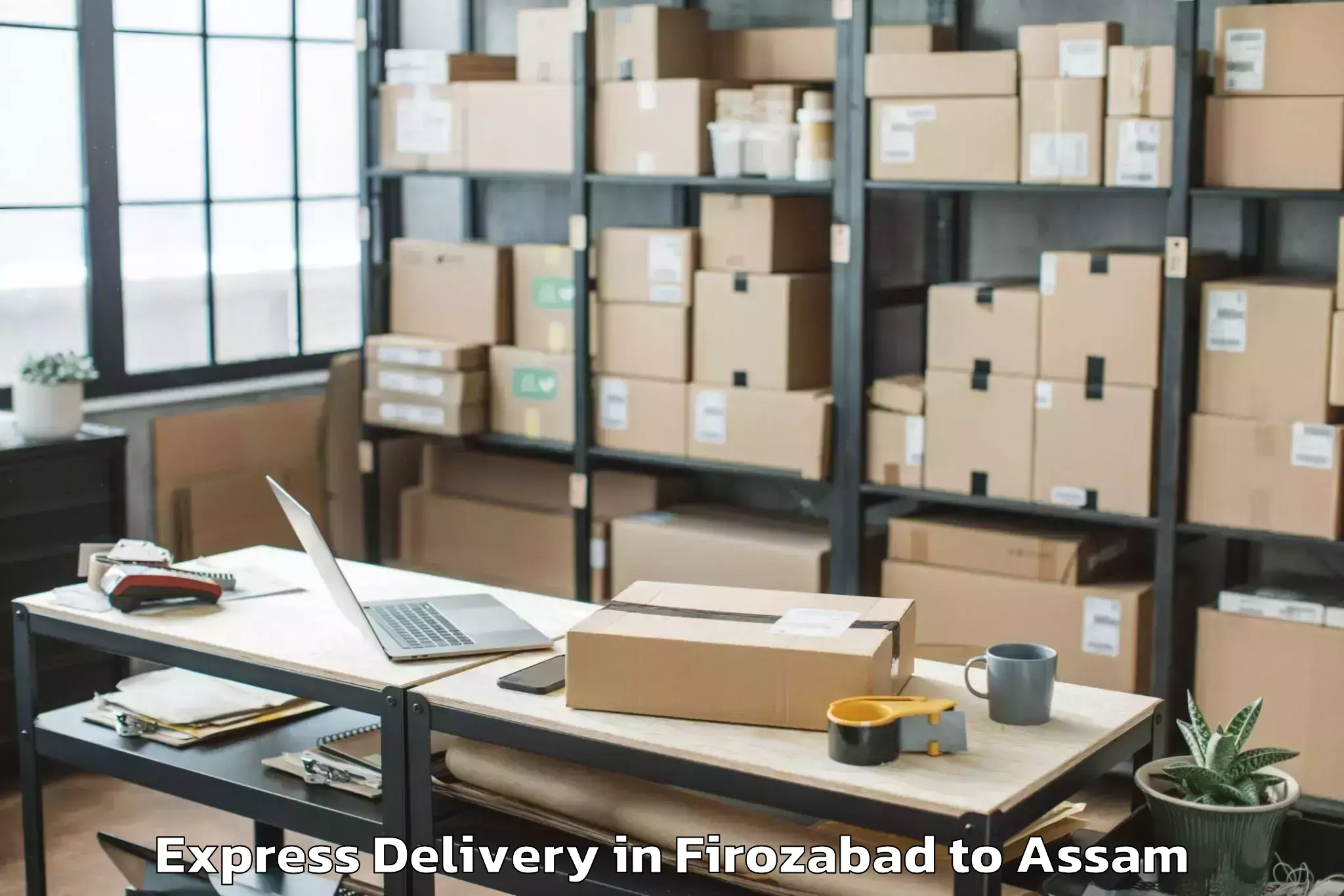 Quality Firozabad to Agomani Express Delivery